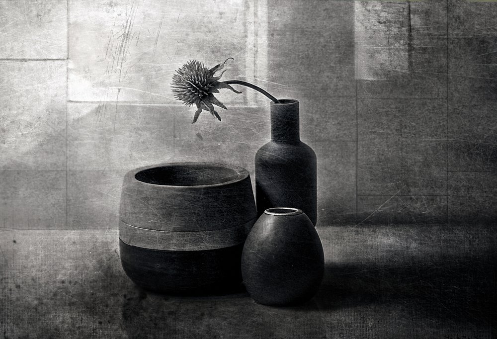 Embarcaciones «Moody Thistle» de Elena Arjona