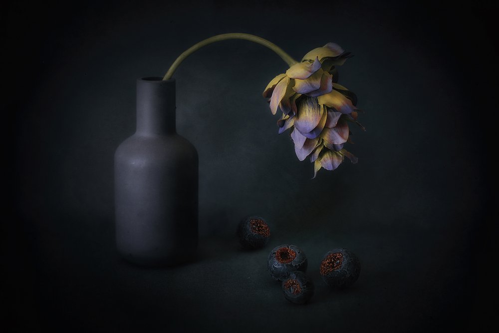 Flores y bayas a la sombra de Elena Arjona