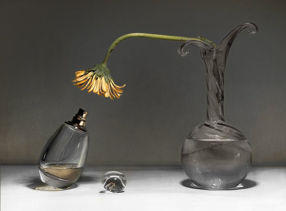 Naturaleza muerta con flores marchitas de Elena Arjona
