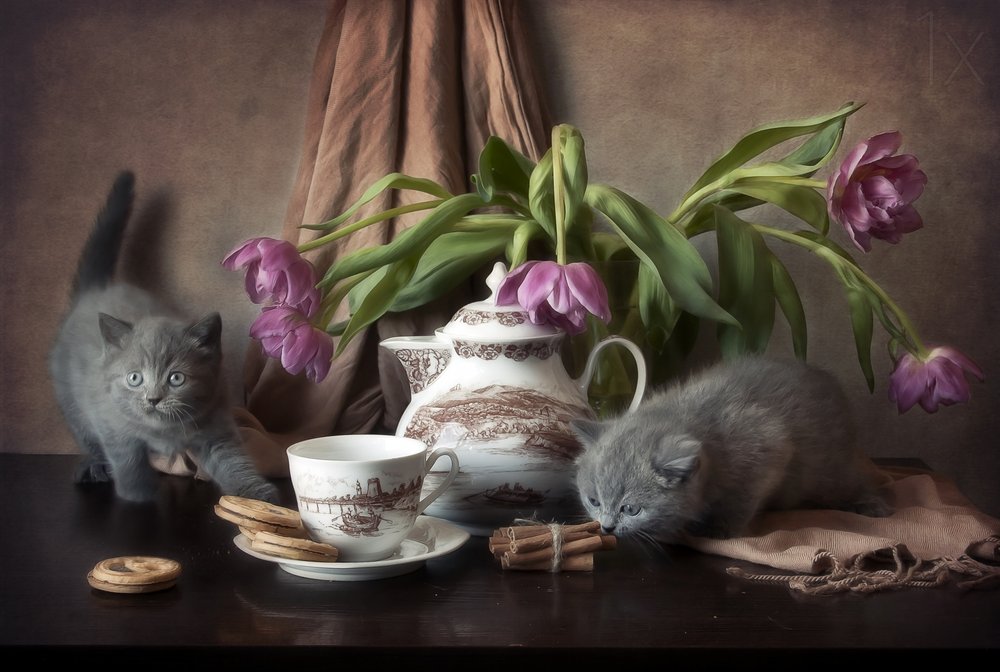 La hora del té con los gatitos de Eleonora Grigorjeva