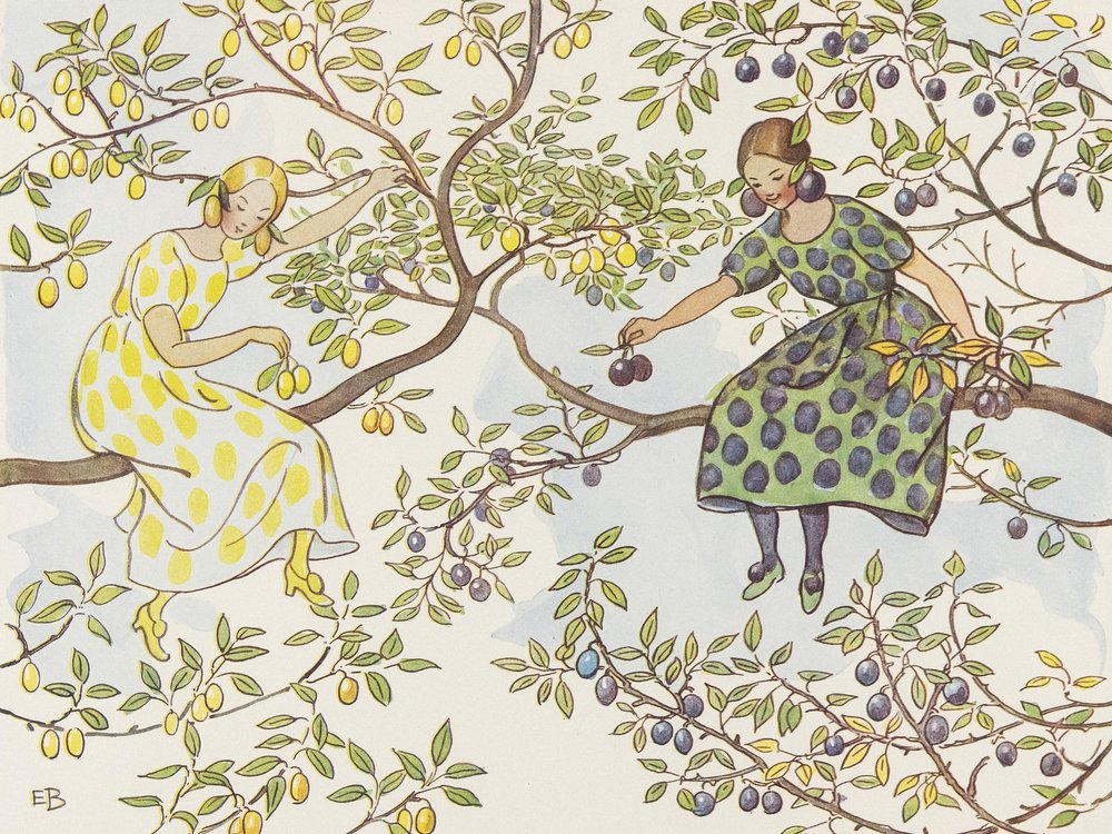 Las señoritas Plommon de Elsa Beskow
