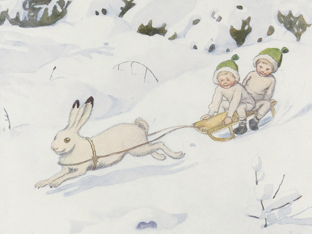 La liebre de las nieves de Elsa Beskow