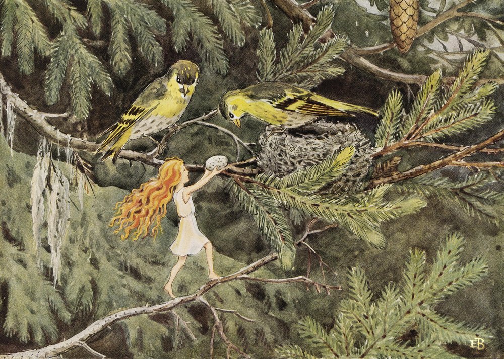El huevo del sol (1932) Las aves de Elsa Beskow