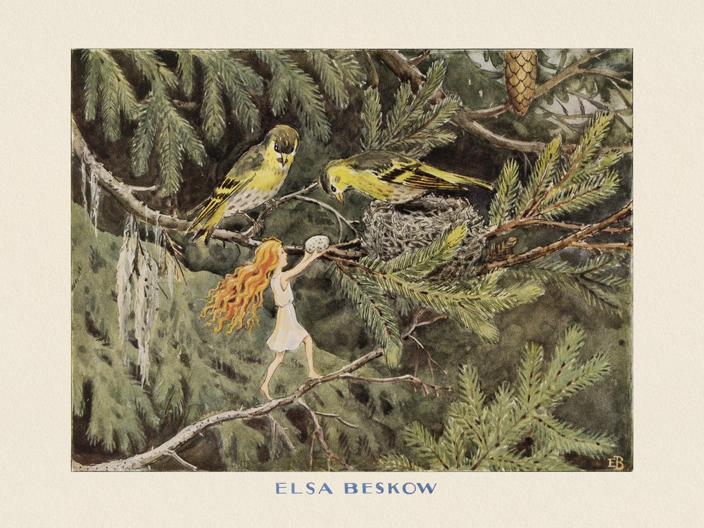 El huevo del sol Las aves de Elsa Beskow