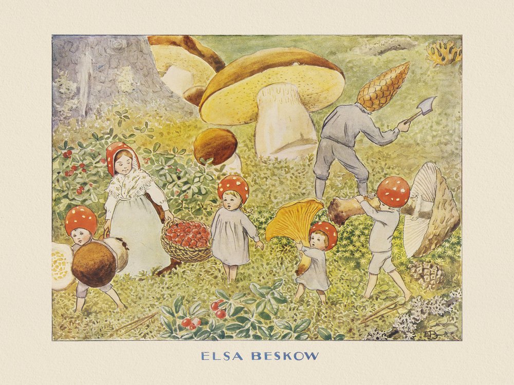 Los niños de Tomtebo: Mushroom Kids de Elsa Beskow