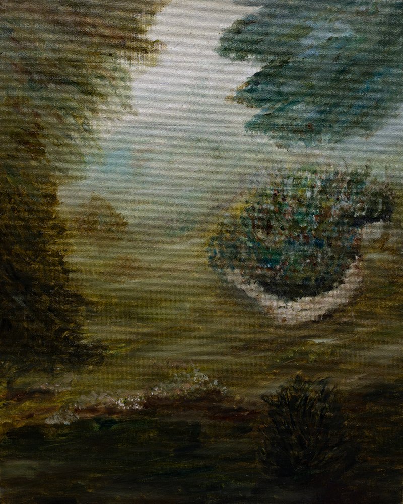 Sendero del bosque brumoso de Emily Tingey