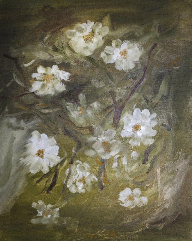 Suaves flores blancas de Emily Tingey