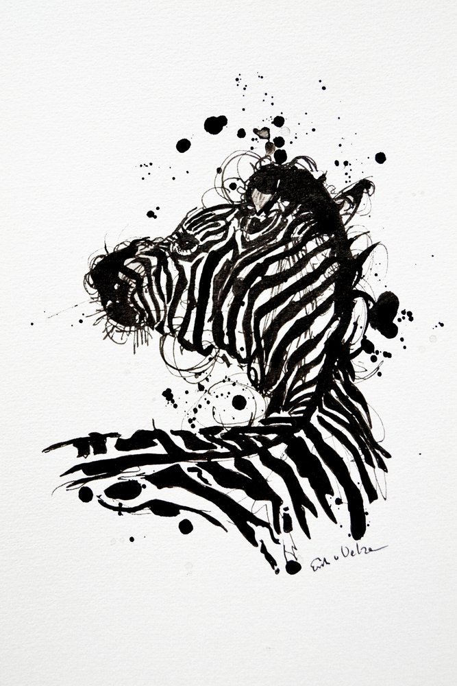 Salpicadura de tinta de cebra salvaje de Erik Van Velzen