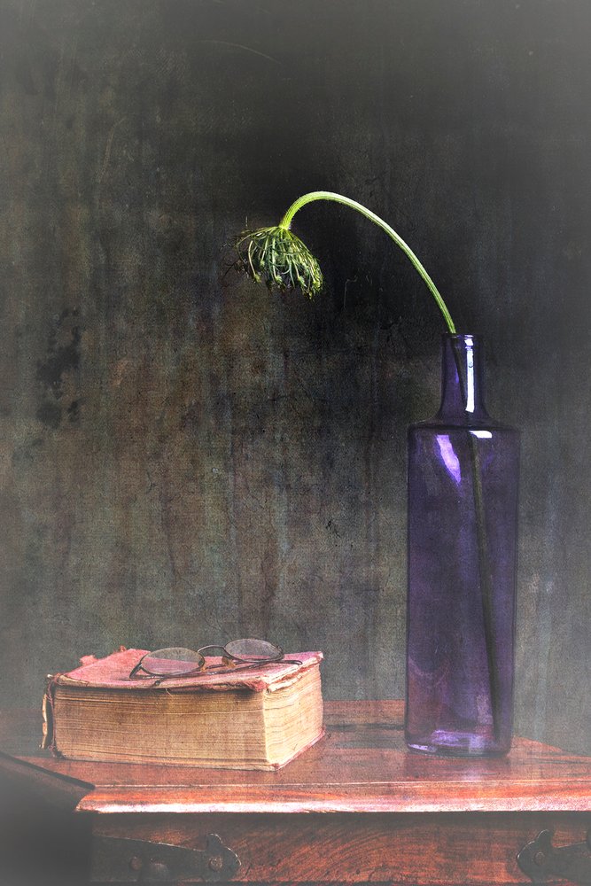 Flor marchita y libro de Eyal Amer