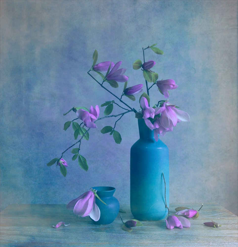 Naturaleza muerta con magnolia azul de Fangping Zhou