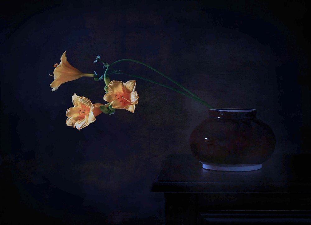 Resplandor floral oscuro de Fangping Zhou