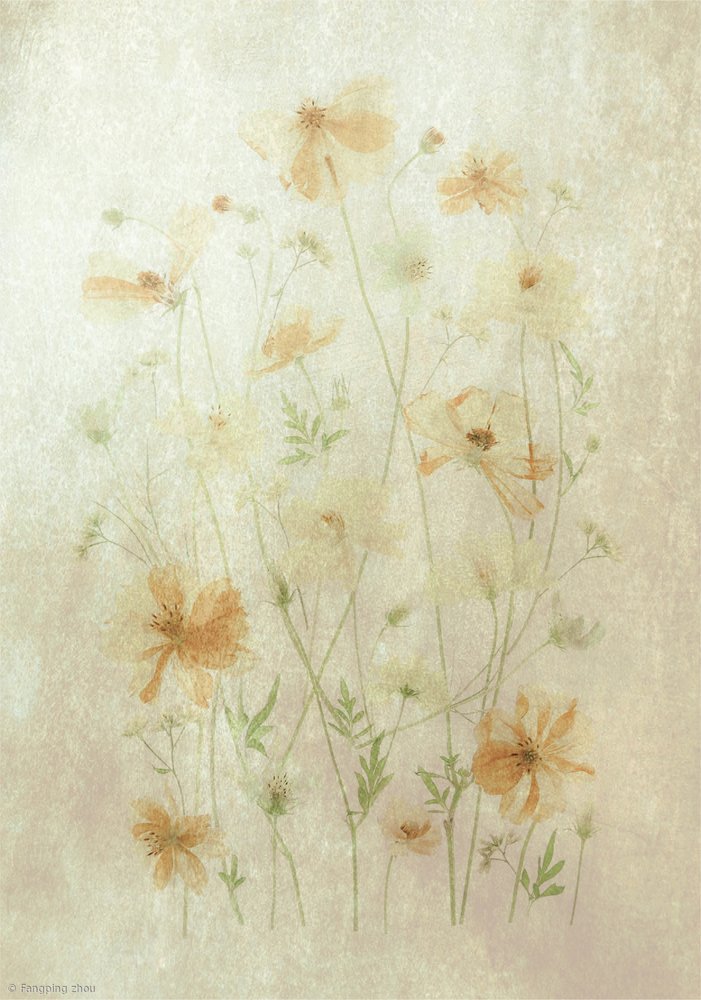 Campo de amapolas marchitas de Fangping Zhou