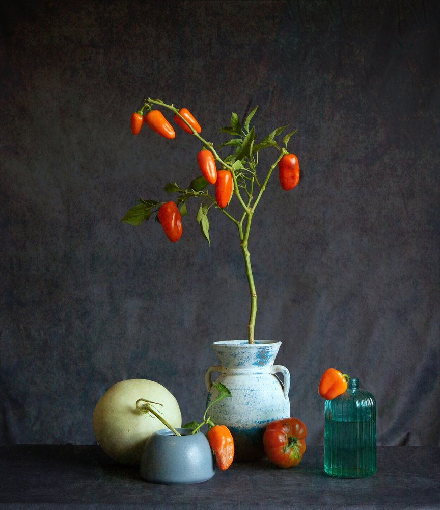 Naturaleza muerta rústica con tomates naranjas de Fangping Zhou