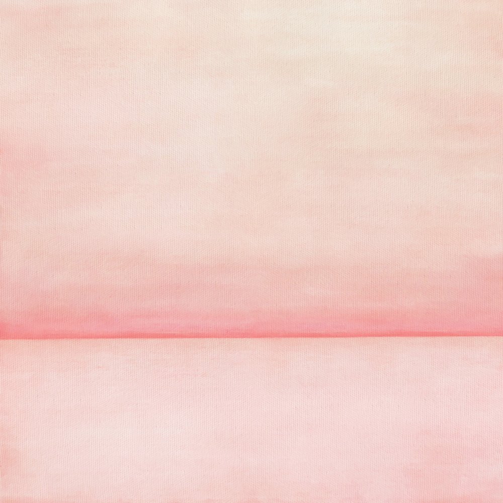 Suave horizonte rosa de Fernando Vieira