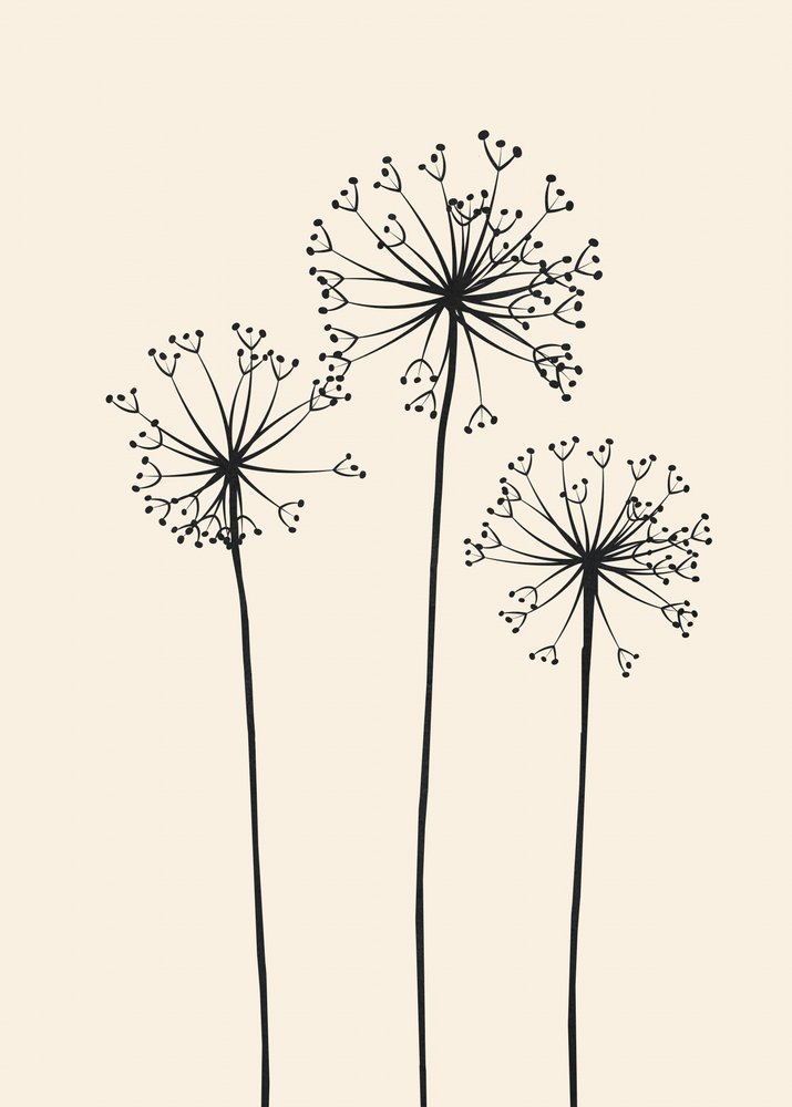 Flores de diente de león minimalistas de Flow Line