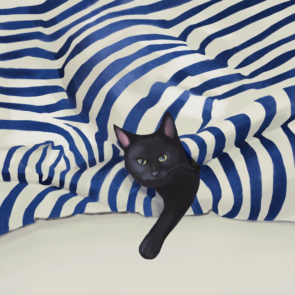 El gato negro que se asoma de Flow Line