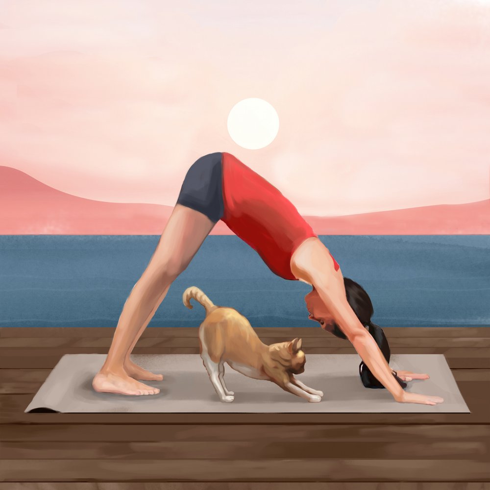 Yoga del gato al amanecer de Flow Line