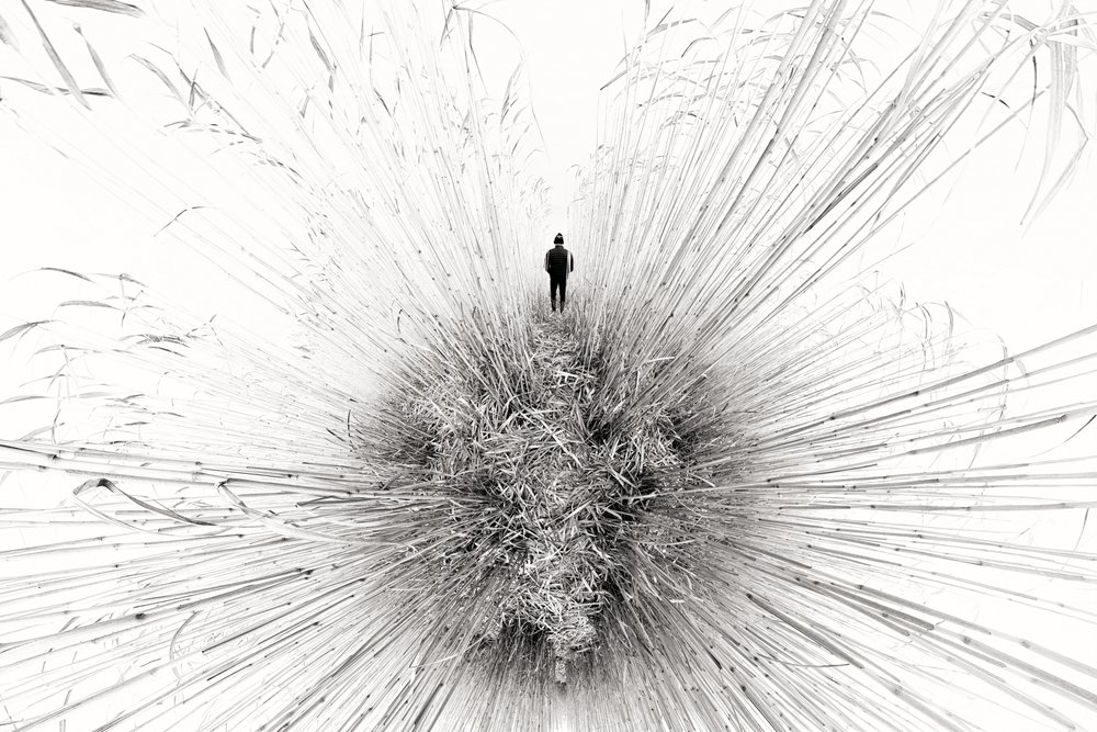 Una figura solitaria entre los juncos de Francois Casanova