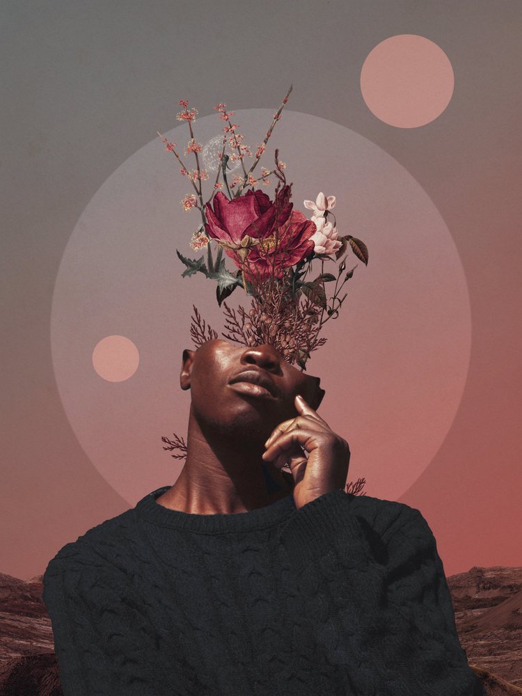  de Frank Moth