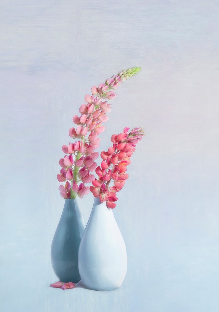  de Gaille Gray