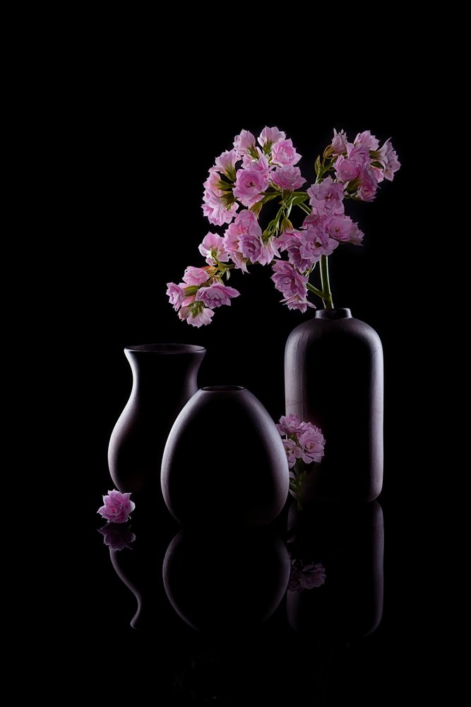 Jarrones oscuros con flores rosas de GaoSL