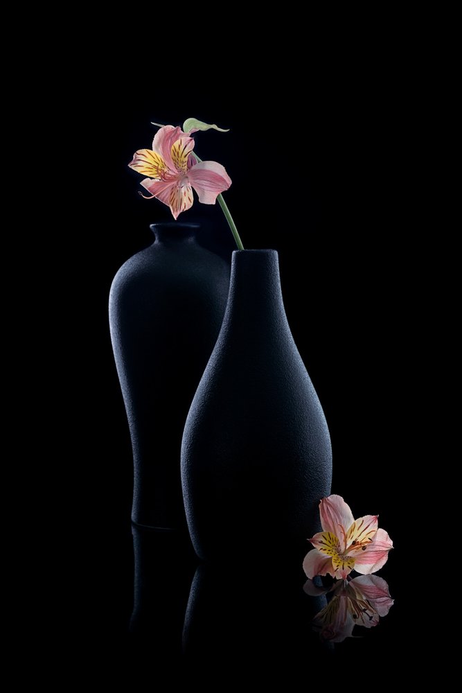 Elegantes alstroemerias en jarrones de GaoSL