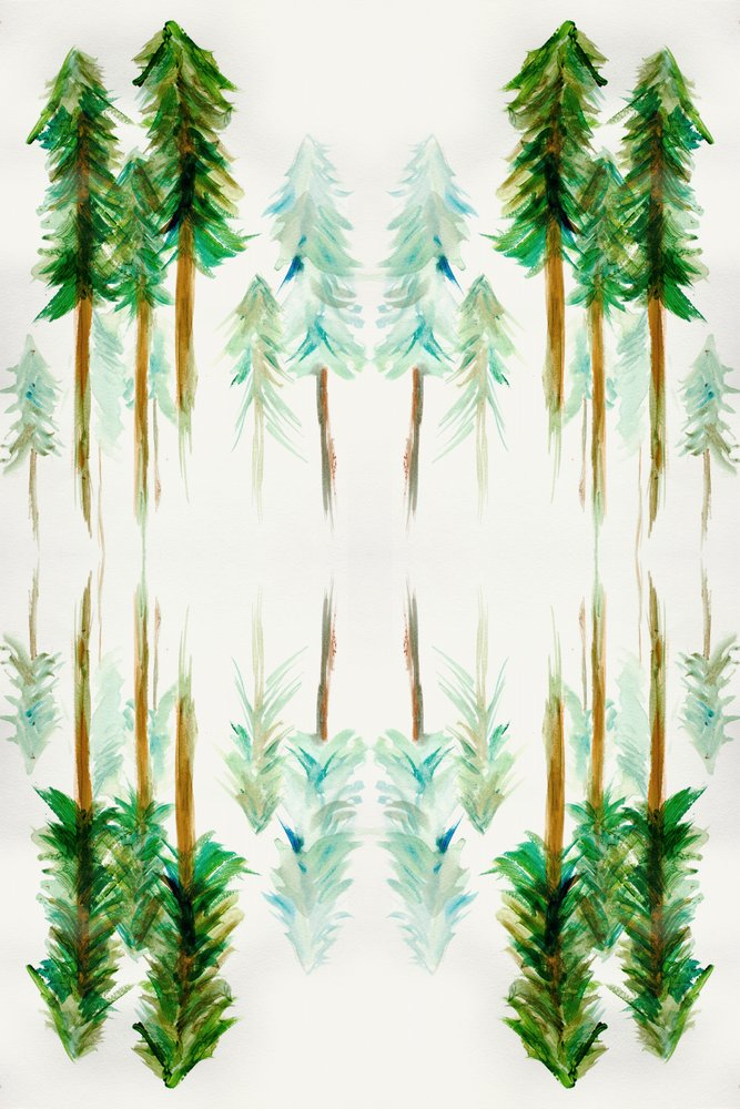 Bosque de pinos reflejado de Gemma Bardot