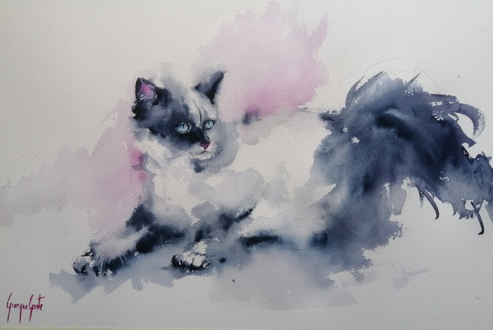 Gato de ojos azules pintado en acuarela de Giorgio Gosti