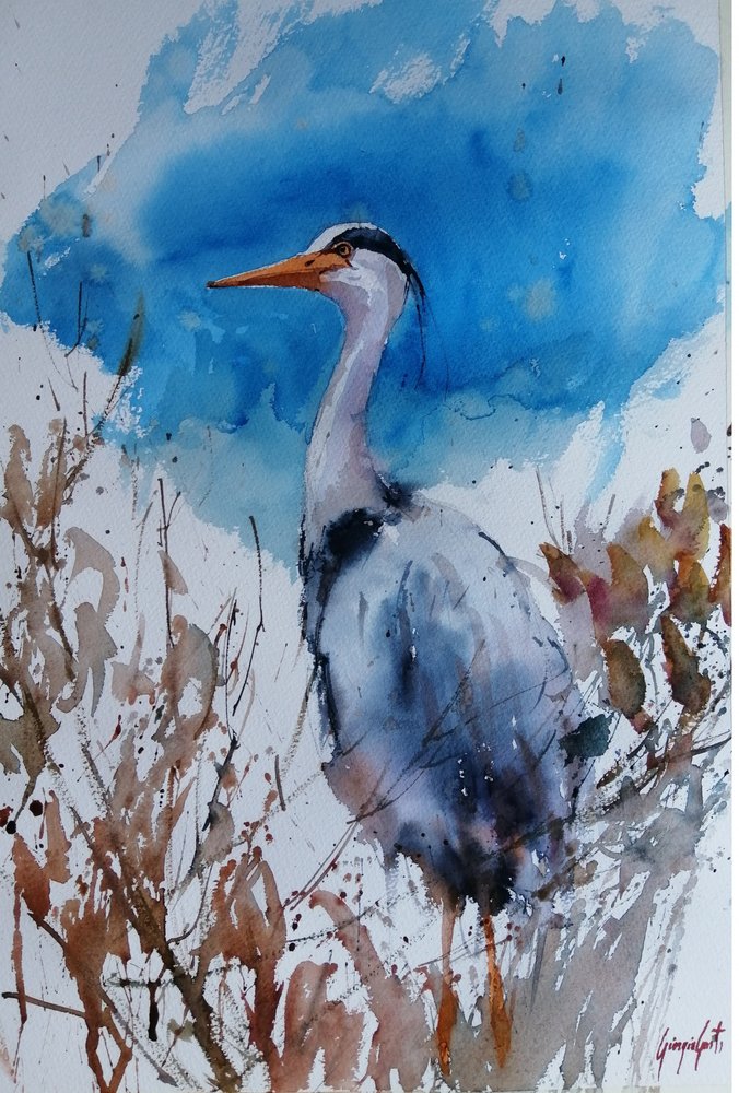 Acuarela «Garza azul» de Giorgio Gosti