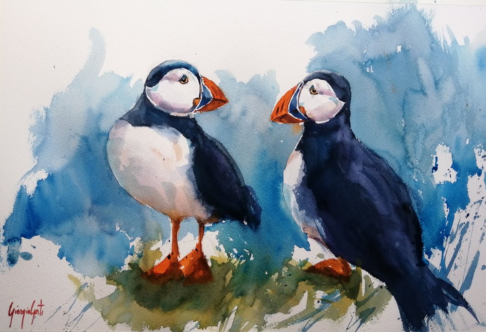 Pareja de frailecillos de colores de Giorgio Gosti