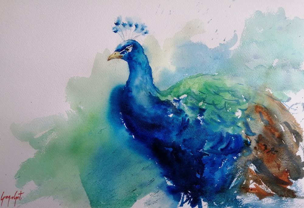 Elegante pavo real azul de Giorgio Gosti