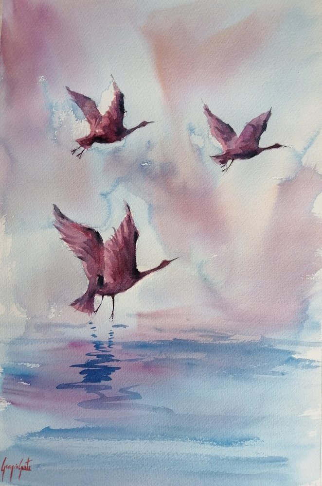 Graciosos pájaros rosas de Giorgio Gosti