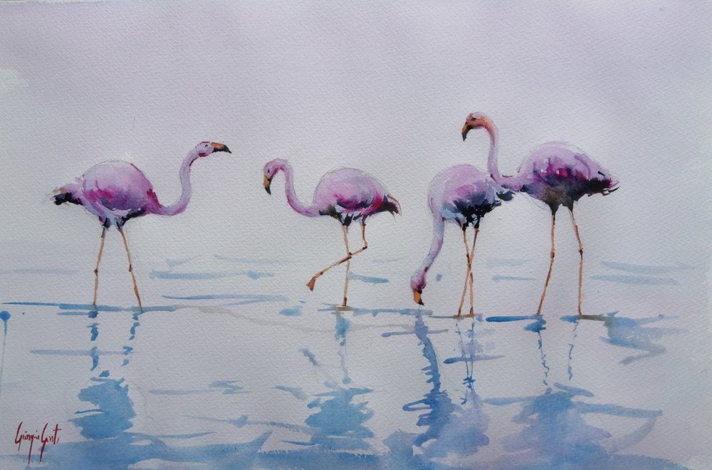 Flamencos rosados vadeando de Giorgio Gosti