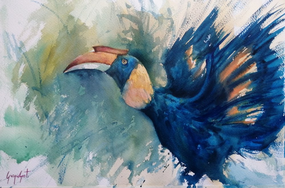 Cálao azul tropical de Giorgio Gosti