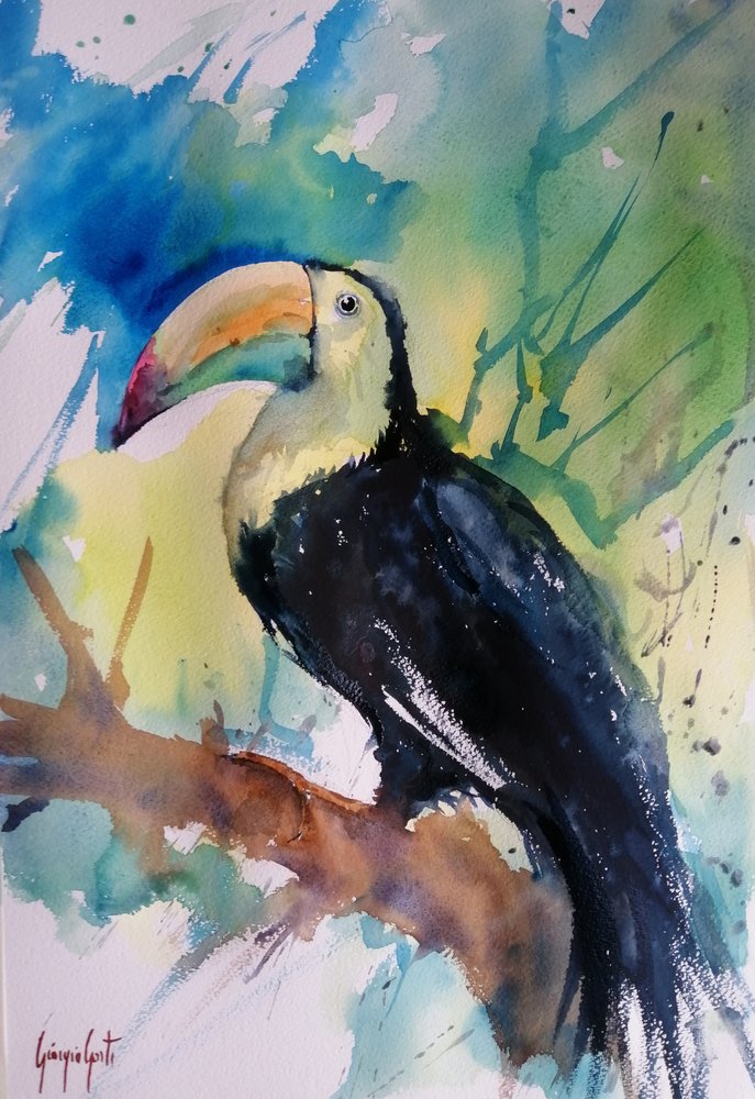 Tucán de la selva en colores vivos de Giorgio Gosti
