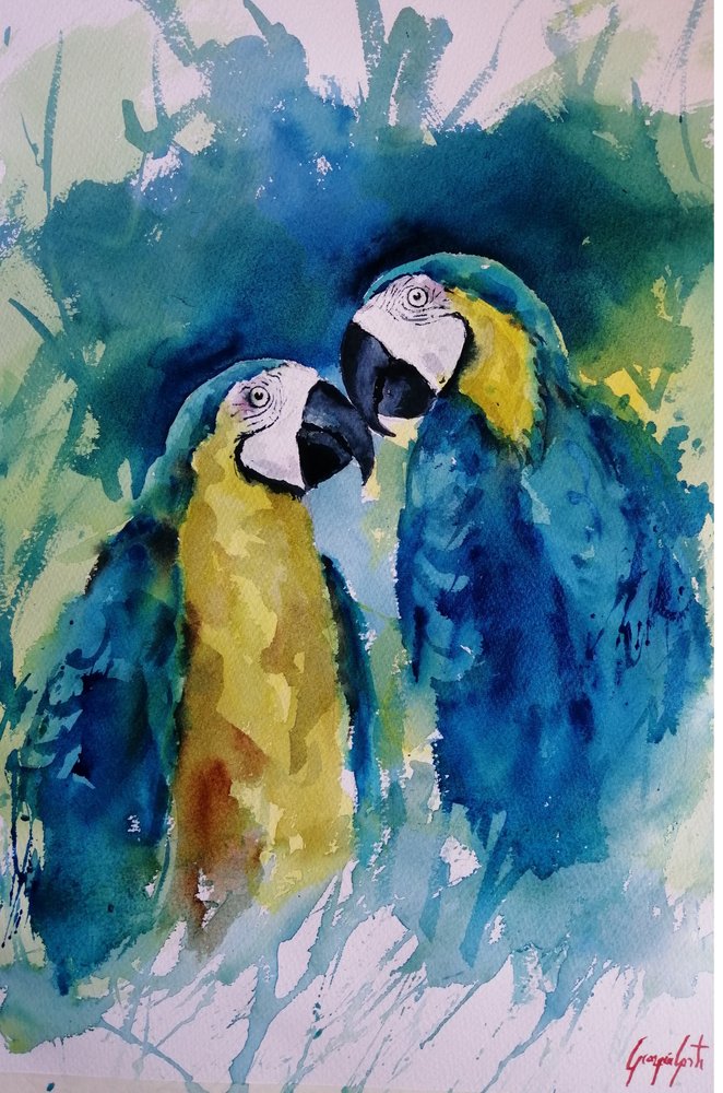 Compañeros de guacamayos de colores vivos de Giorgio Gosti