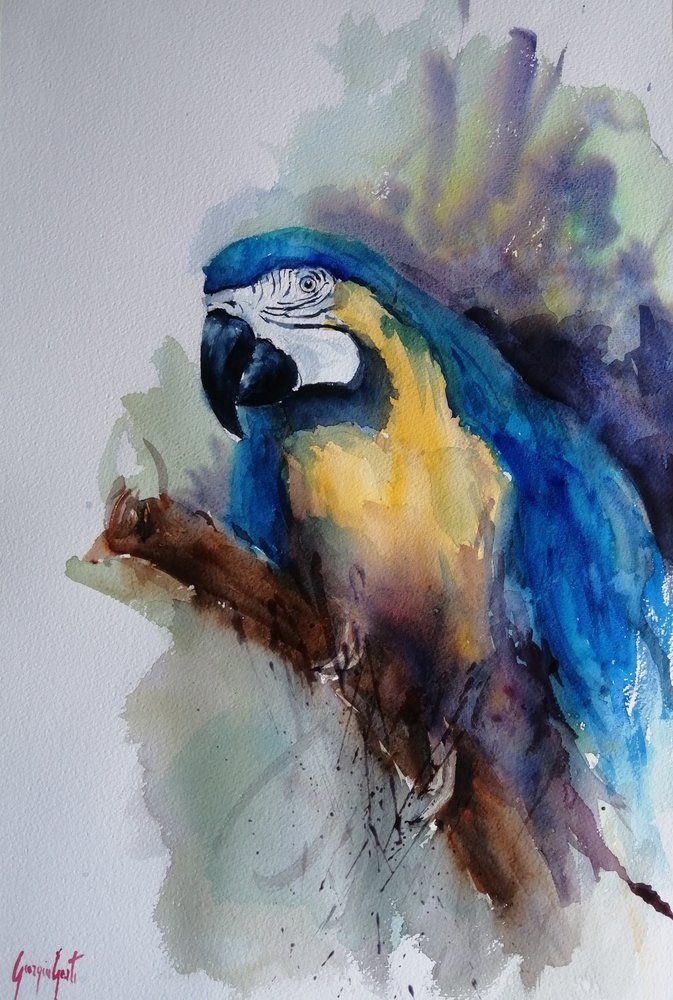 Retrato de un guacamayo de colores vivos de Giorgio Gosti