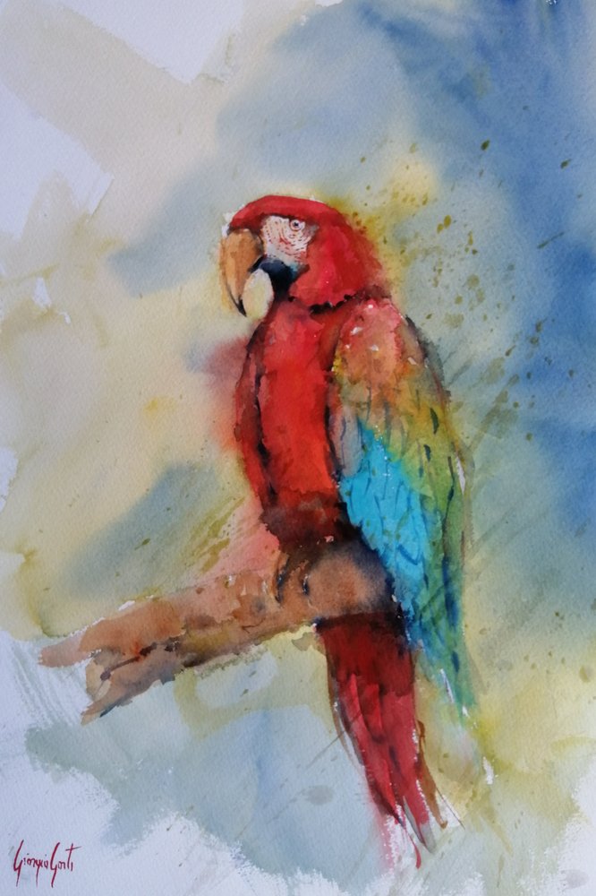 Guacamayo rojo intenso de Giorgio Gosti