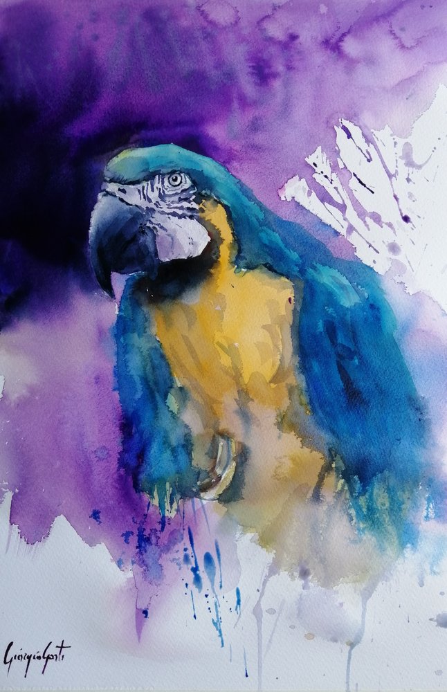 Loro en acuarela de vivos colores de Giorgio Gosti