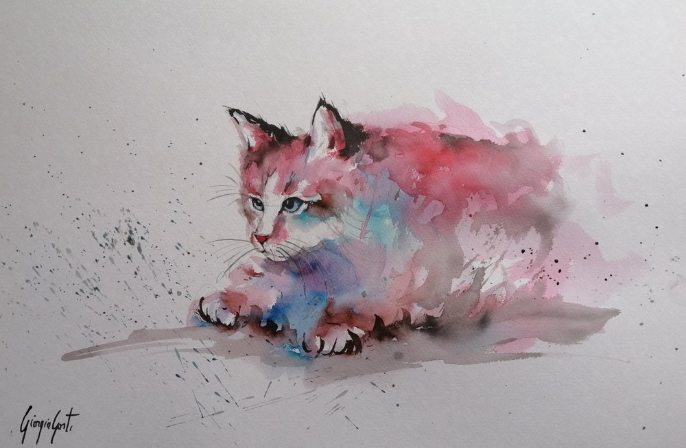 Salpicadura de gatito en acuarela de Giorgio Gosti