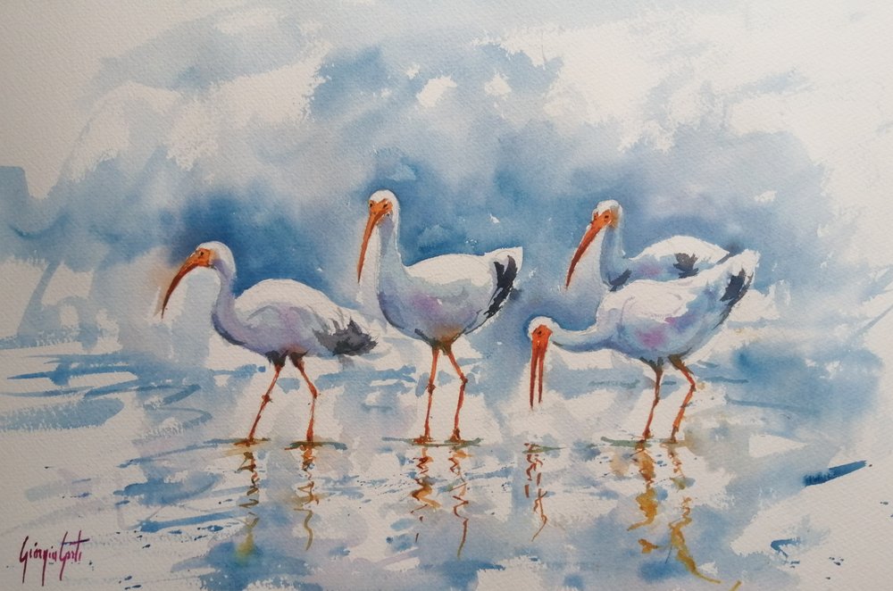 Reflejos del ibis blanco de Giorgio Gosti