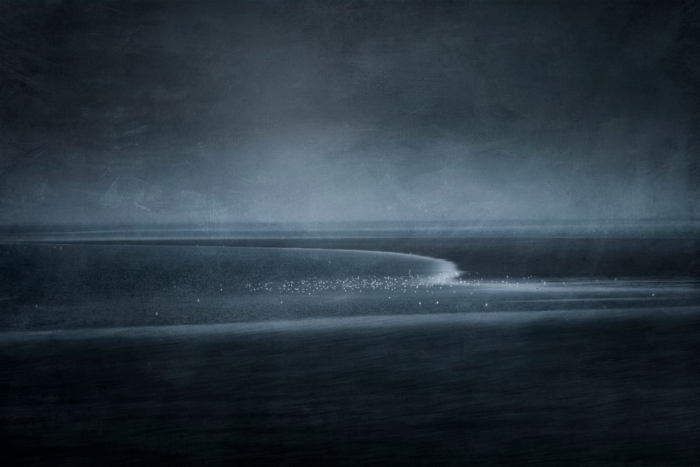 Aves costeras al atardecer de Greetje van Son