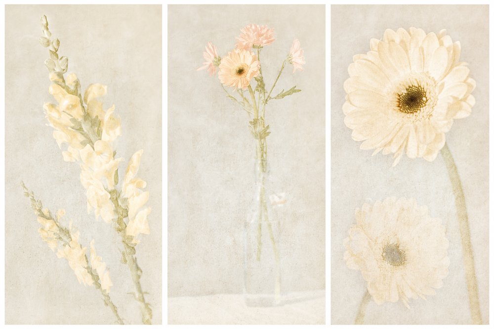 Tríptico floral descolorido de Gustav Davidsson