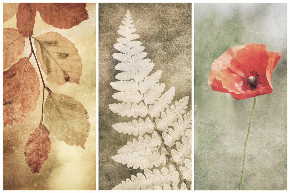 Trío Vintage Nature de Gustav Davidsson