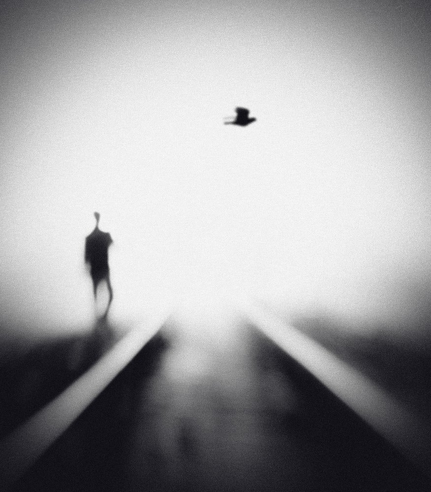 Hombre solitario, pájaro volador de Hengki Lee