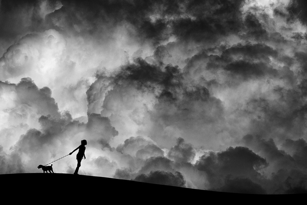 Paseo con perros bajo un cielo tormentoso de Hengki Lee