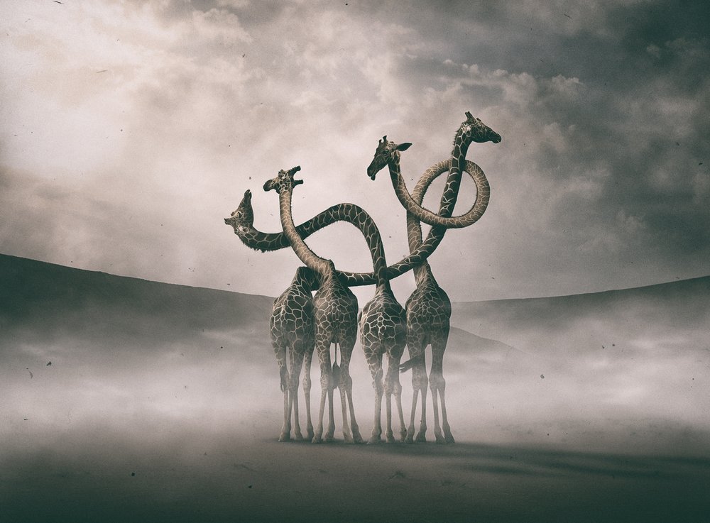  de Hussain Buhligaha