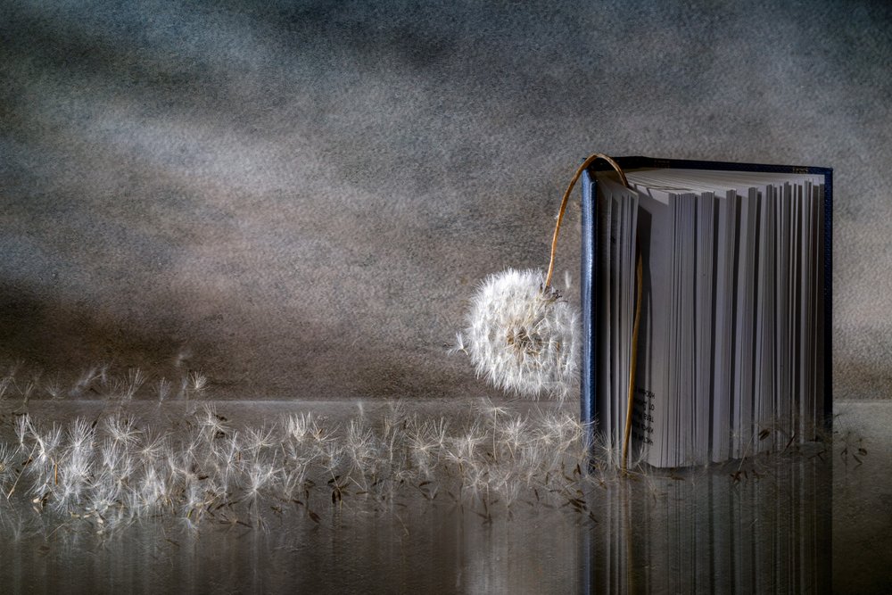 Reflejo de un libro con diente de león de Igor Kopcev