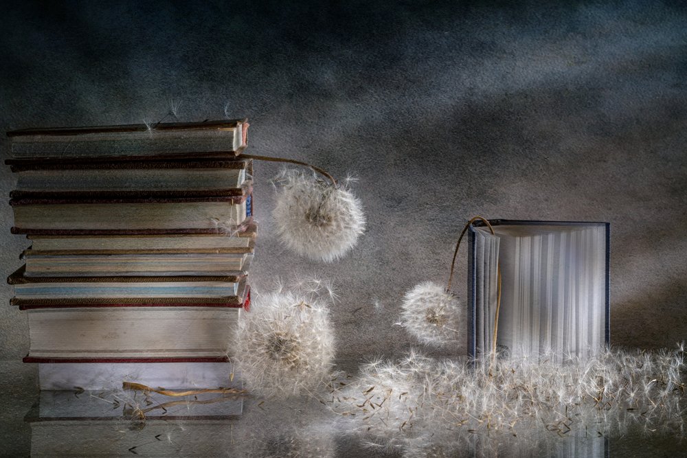 Libros soñadores y dientes de león de Igor Kopcev