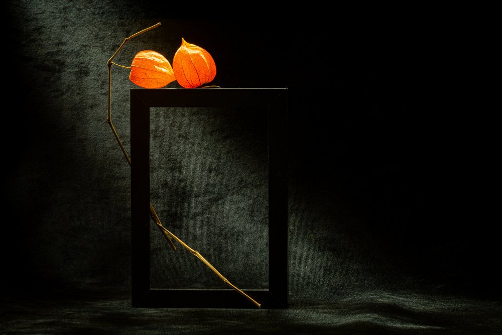 Marco luminoso de physalis de Igor Kopcev